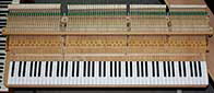 Flügel-Grotrian-Steinweg-189-schwarz-122880-11-b